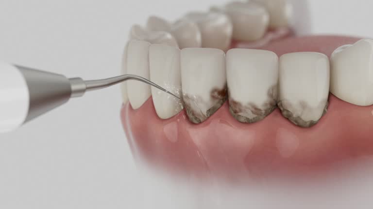 Reliable Dental contractor in Park City, TN by Dentist Open Now